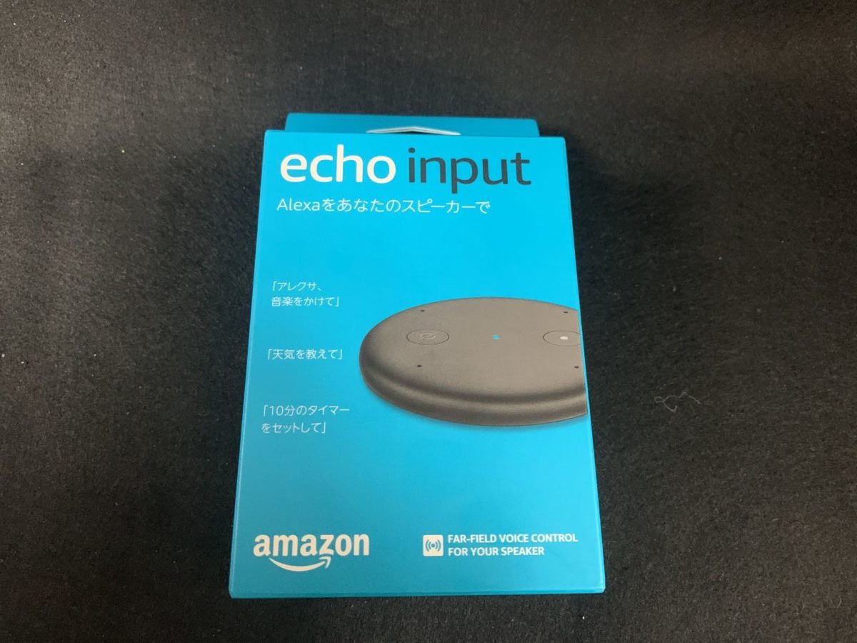 Echo Input