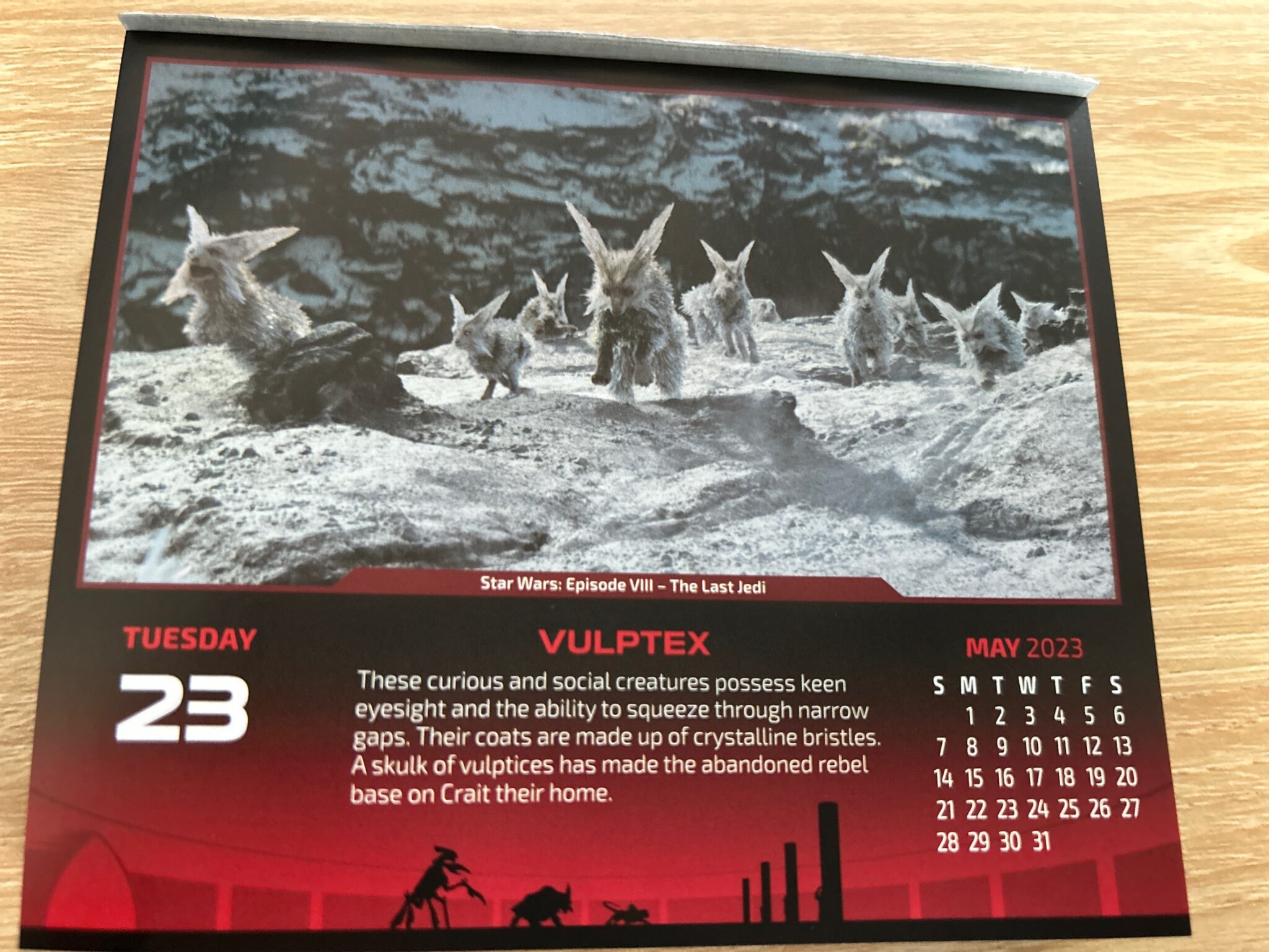 ヴァルプテックス　Calendar 2023-05-23