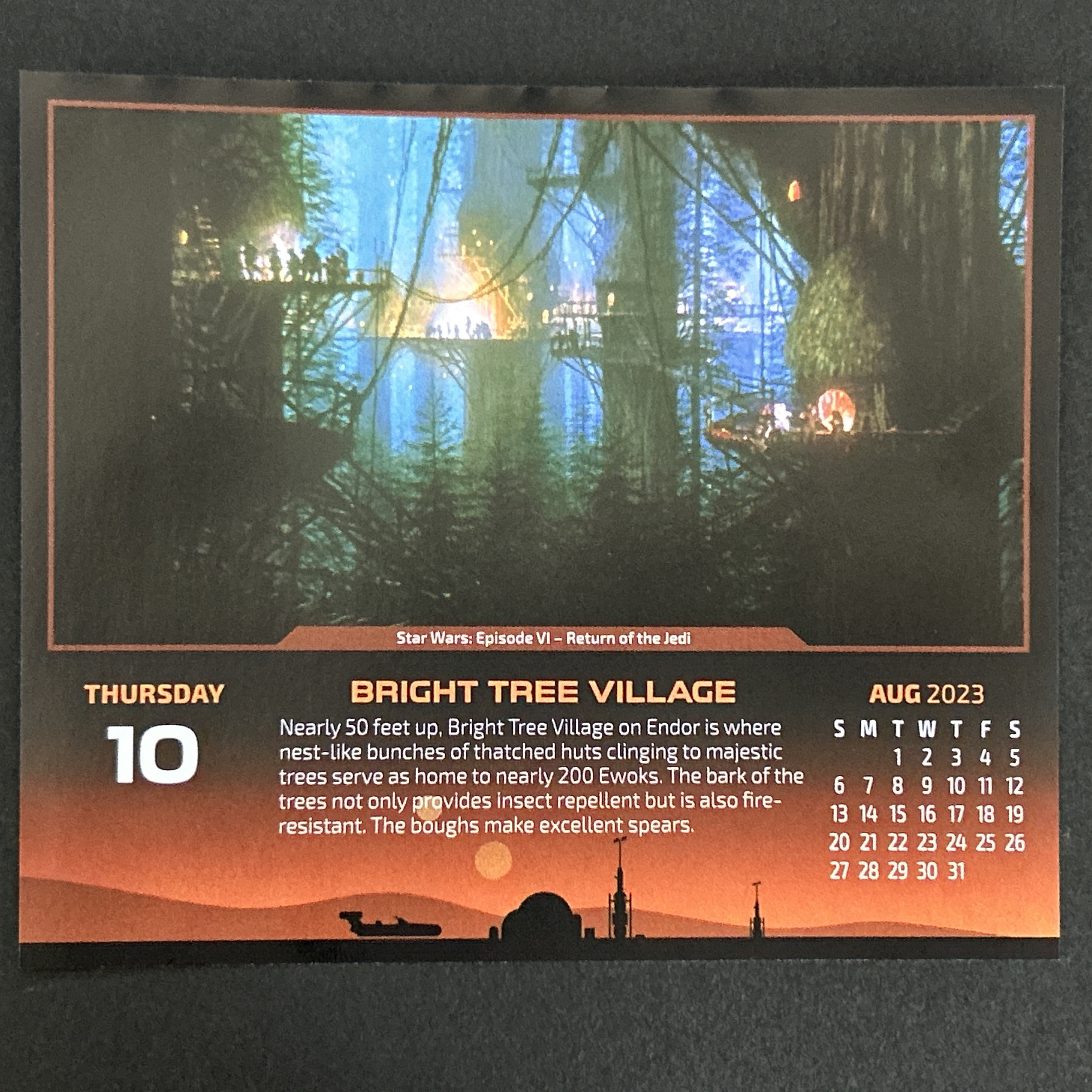 ブライト・ツリー村　Calendar 2023-08-10
