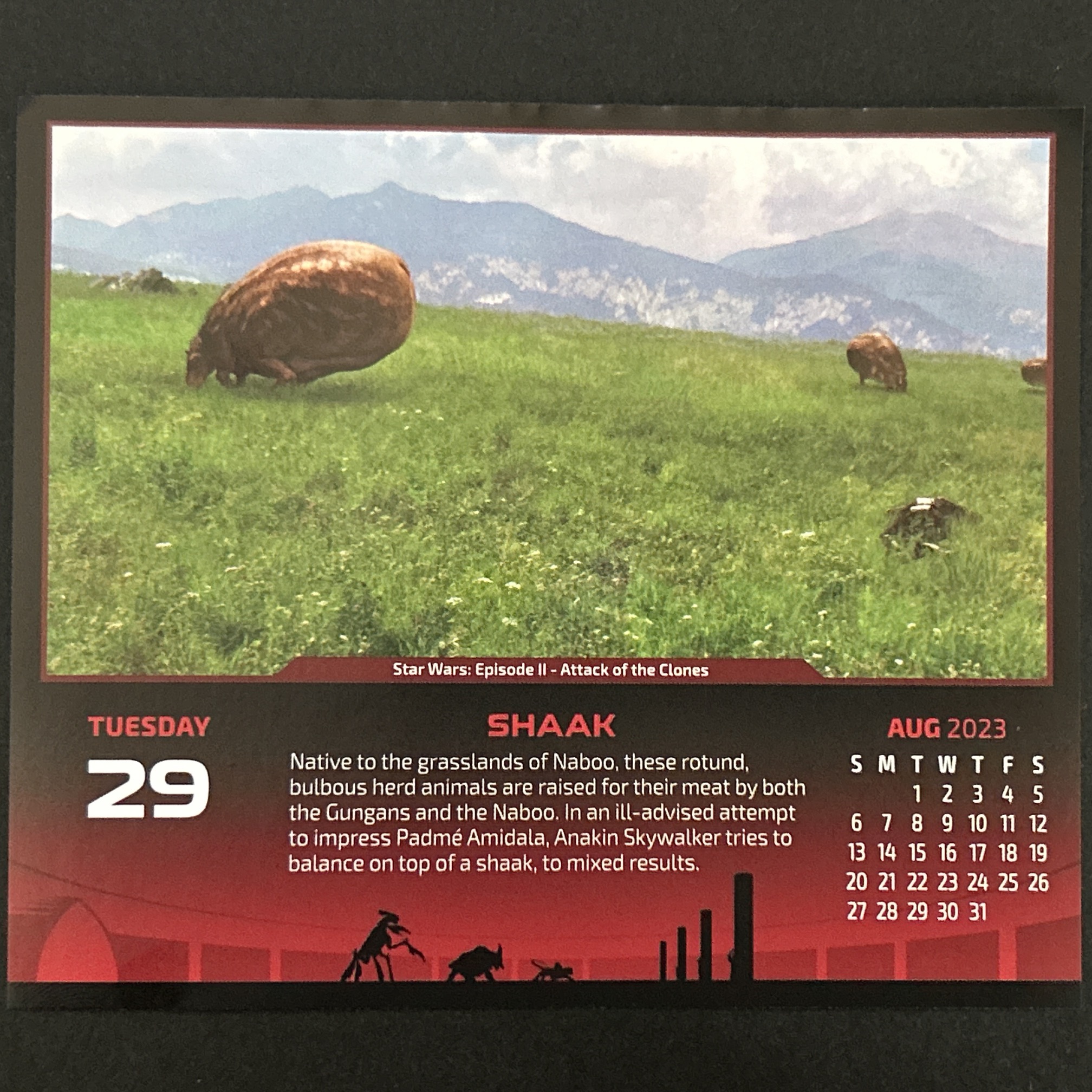 シャク　Calendar 2023-08-29